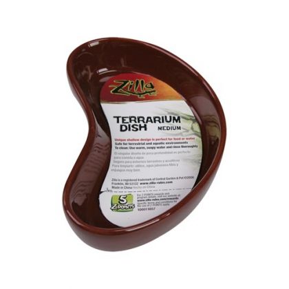 Terrarium Dish - Medium