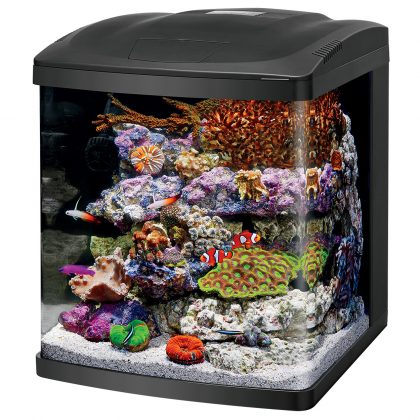 16 Gallon Bio Cube