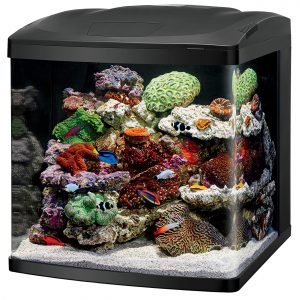 32 Gallon Bio Cube