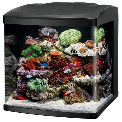 32 Gallon Bio Cube