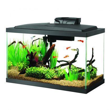 10 Gallon LED Aquarium  Kit