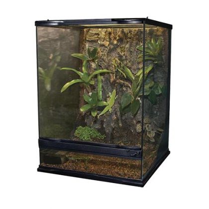 Naturalistic Terrarium - 18" x 18" x 24"