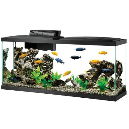 55 Gallon LED Starter Kit