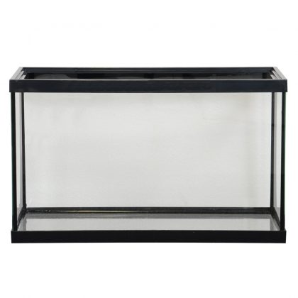 10 Gallon Standard Aquarium