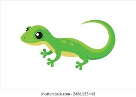 Reptile Supplies