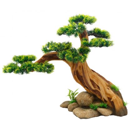 Bonsai Paradise  XXXL