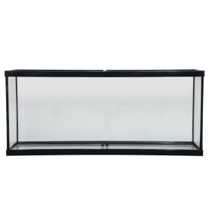 55 Gallon Show Tank