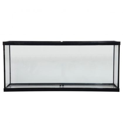 55 Gallon Show Tank