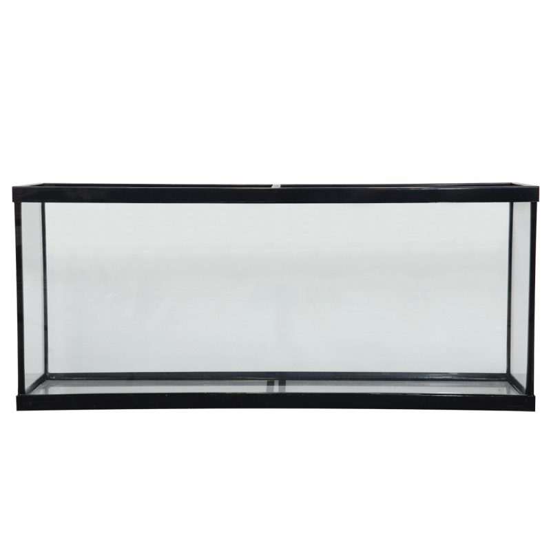 55 Gallon Show Tank