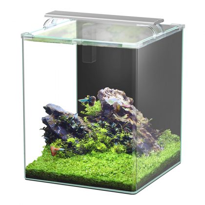 Kubus Curve Glass Aquarium with LED - 65L