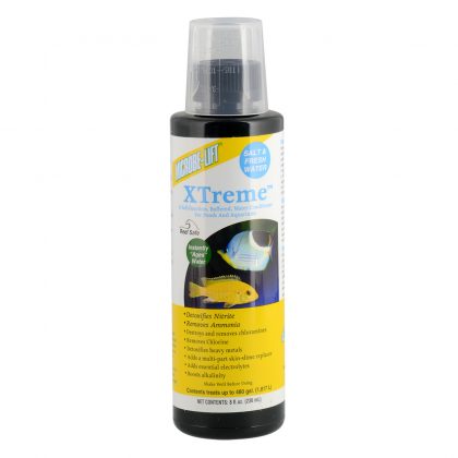 XTreme - 8 fl oz