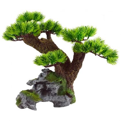 Bent Bonsai Tree