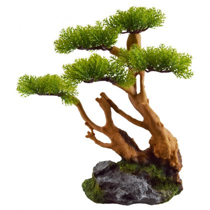 Windy Bonsai Tree