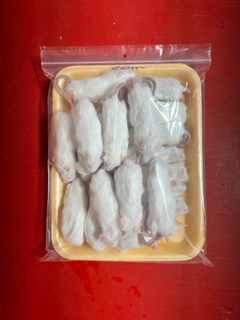 Frozen Mice - Large- 6 pack