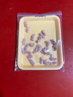 Frozen Mice-pinkies 6pk