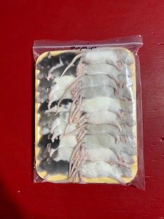 Frozen Rats-Pups-6 Pack