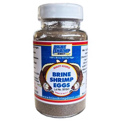 Premium Grade Brine Shrimp Eggs 1.75oz