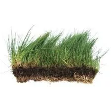 Hair Grass Carpet