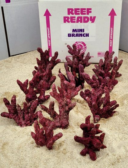 Real Reef Mini Branch Box (10 PCS)