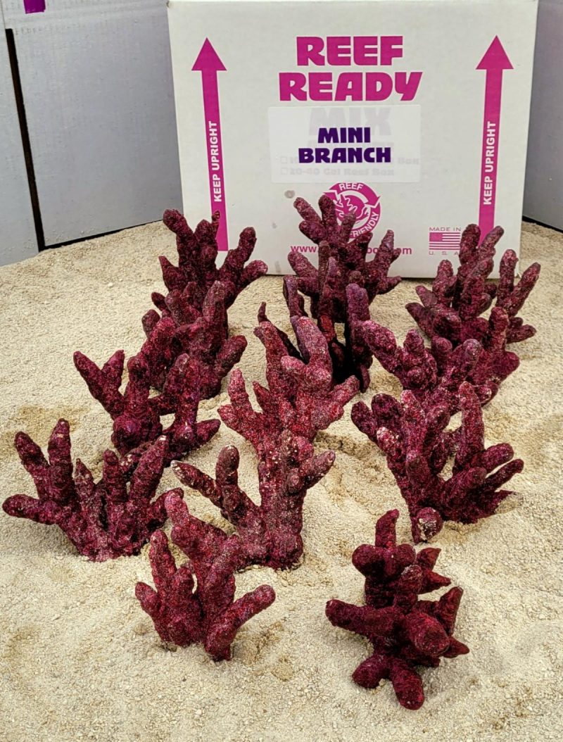Real Reef Mini Branch Box (10 PCS)