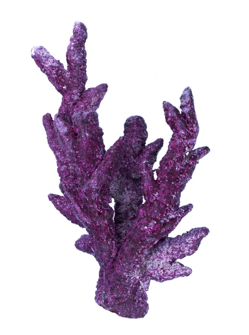 Real Reef Mini Branch Box (10 PCS) - Image 2