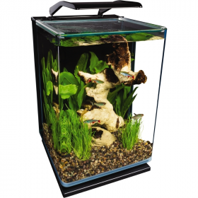 Aquariums