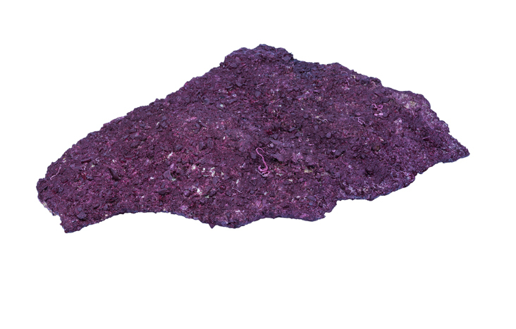 Real Reef Shelf Rock 50lbs - Image 2