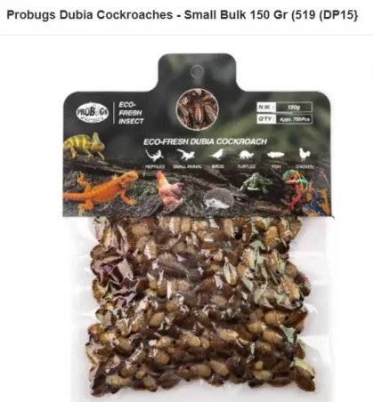 Probugs Dubai Cockroaches(small) 150 gr