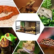 Reptile Supplies
